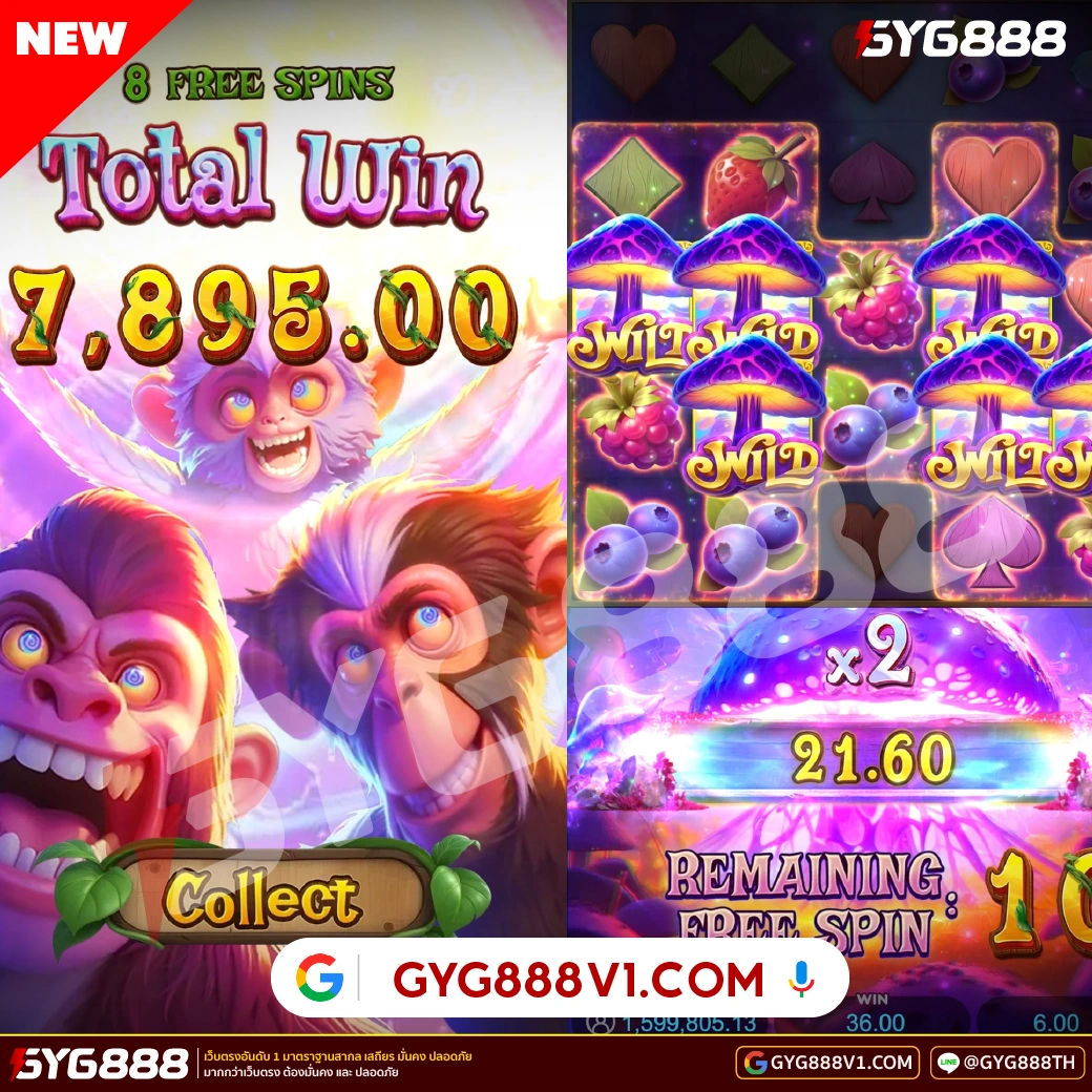 ภาพข้อมูล ambbet89ทดลองเล่น ลำดับที่ 1 เกี่ยวกับ AMBPLAY